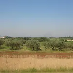 Zdravac *