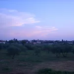 Zdravac * Umago