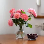 Apartamento Zdravac