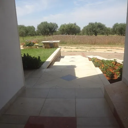 Apartman Zdravac *