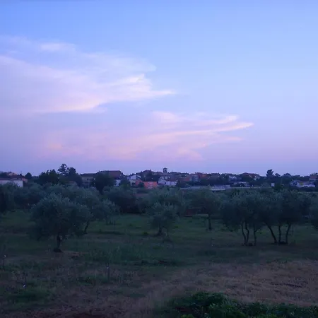 Zdravac * Umag