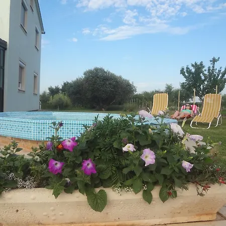 Apartman Zdravac