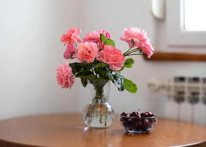 Apartament Zdravac