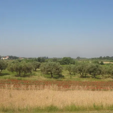 兹德拉瓦克公寓 *