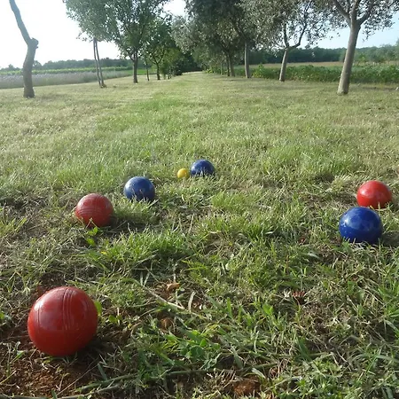 Appartamento Zdravac *